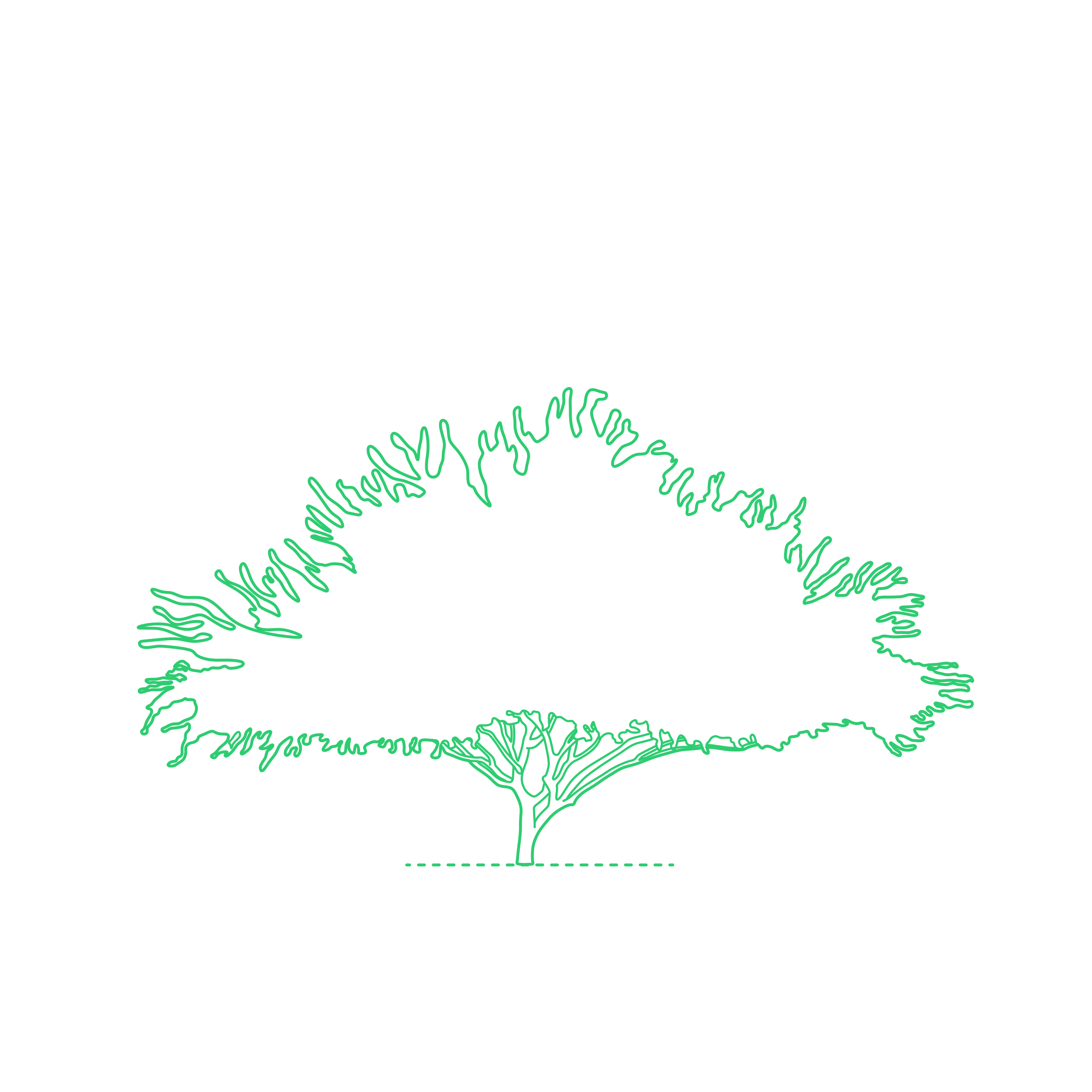 Plants Deciduous Trees Blue Palo Verde Tree Line Art Illustration Svg Free Vectors
